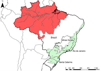 IgM antibody responses against Plasmodium antigens in neotropical primates in the Brazilian Atlantic Forest